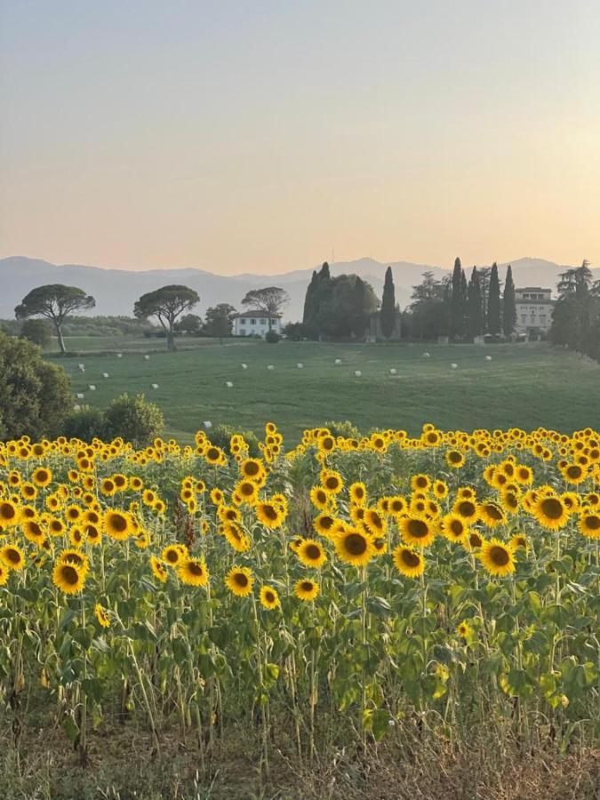 Casa Le Rondini Toscana Bucine Экстерьер фото